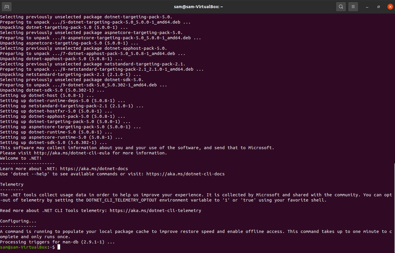 Running the .NET Core SDK installation commands in the terminal.